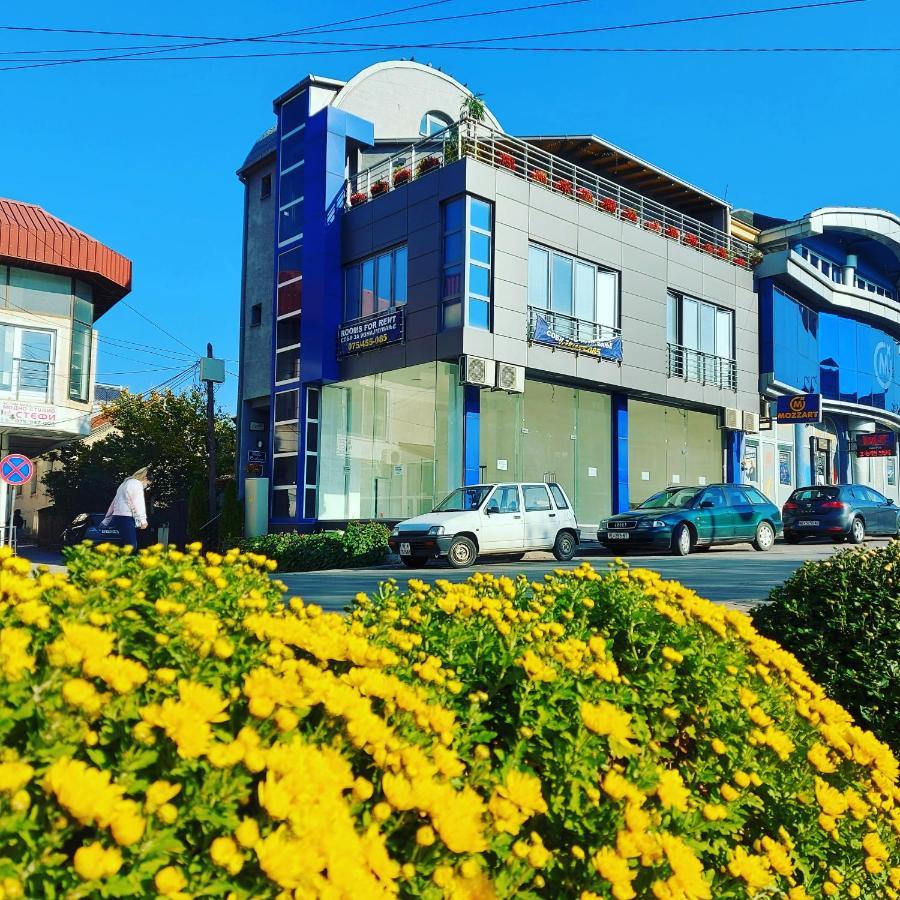 Villa Radica Negotino  Ngoại thất bức ảnh